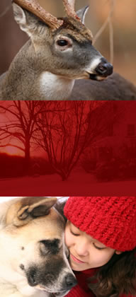 winterfoto's