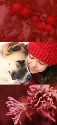 winterfotos