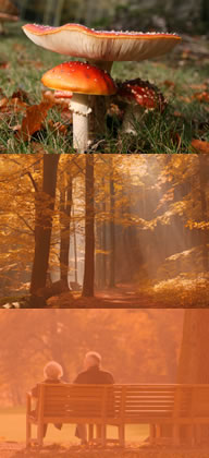 herfstfotos