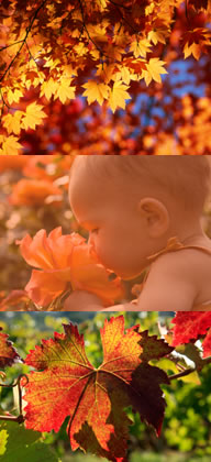 herfstfoto's