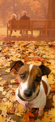 herfstfotos